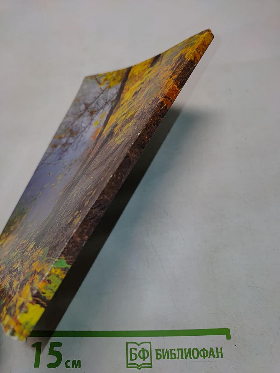 Спасский вестник 6