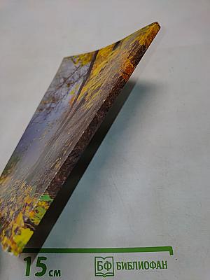 Спасский вестник 6