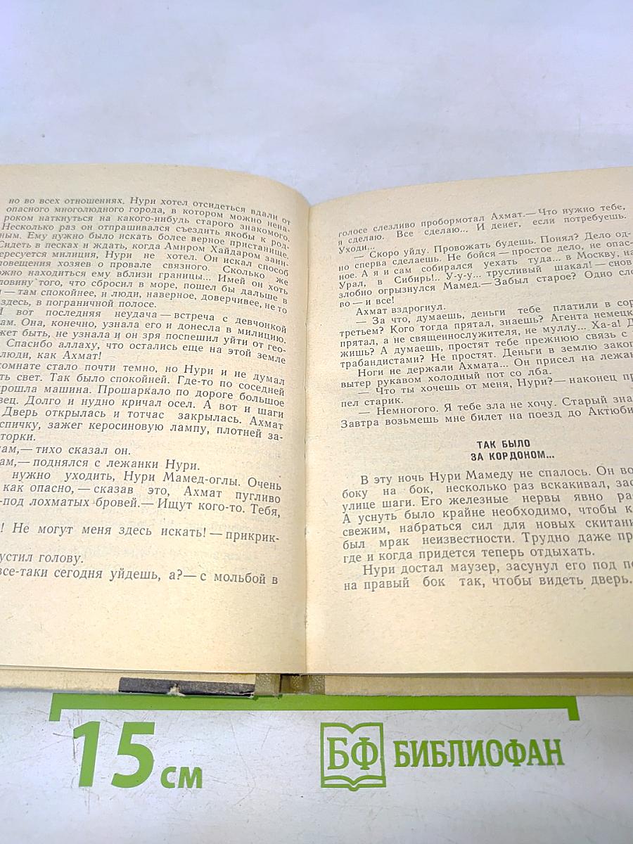 Пограничная полоса