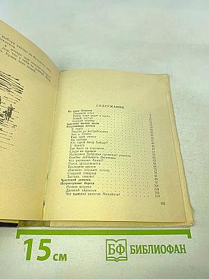 Пограничная полоса