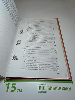 Литература 9 класс