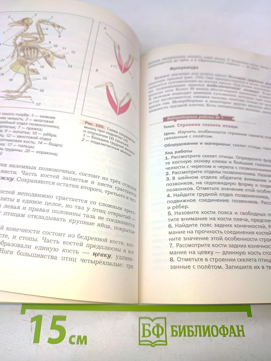 Биология. 7 класс