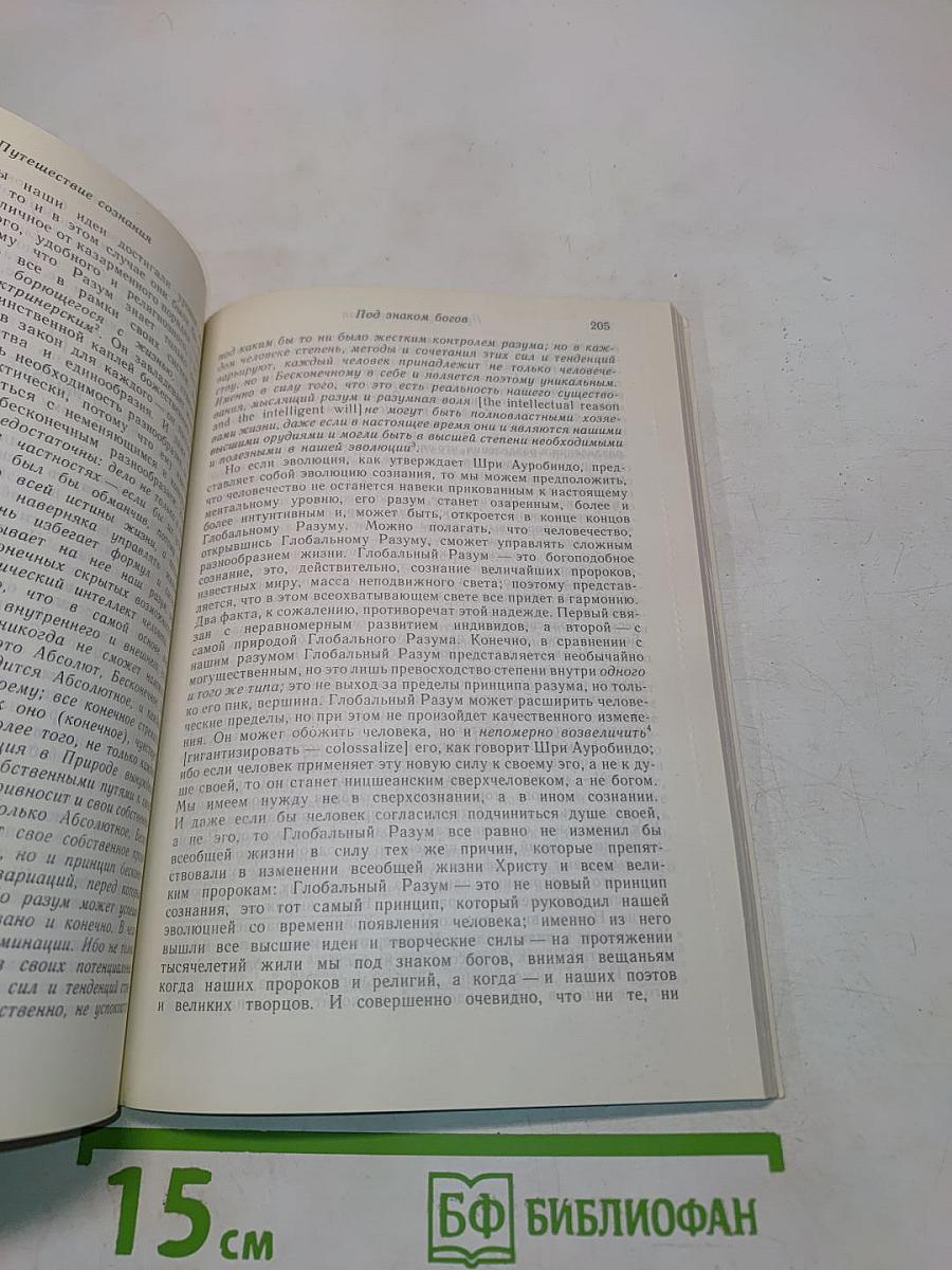 Шри Ауробиндо, или Путешествие сознания