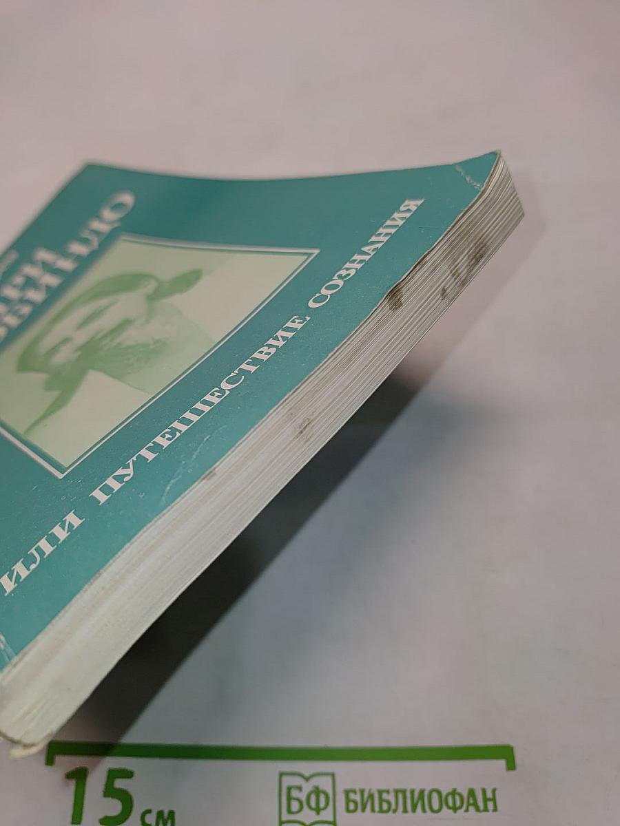 Шри Ауробиндо, или Путешествие сознания