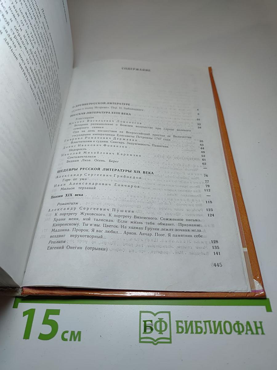 Литература 9 класс