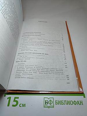 Литература 9 класс