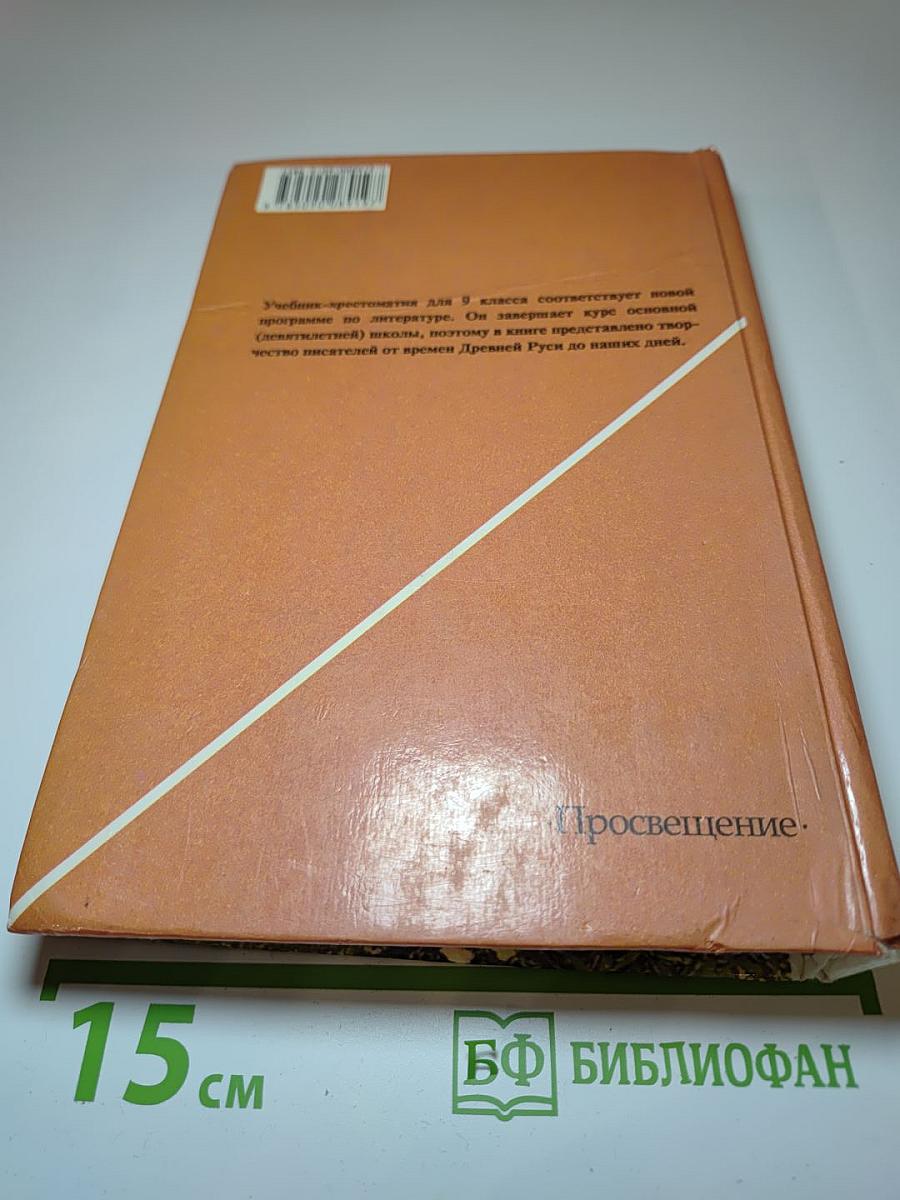 Литература 9 класс