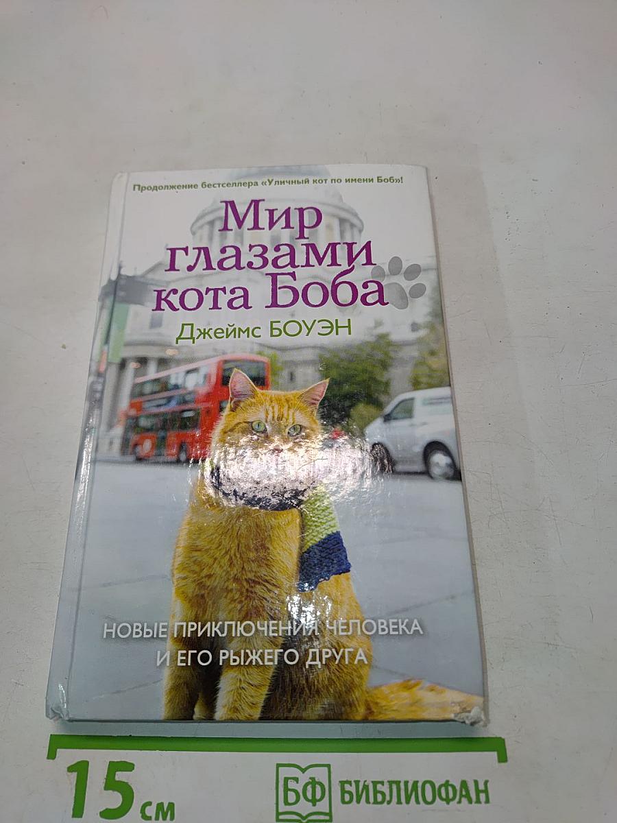 Мир глазами кота Боба. Новые приключения человека и его рыжего друга