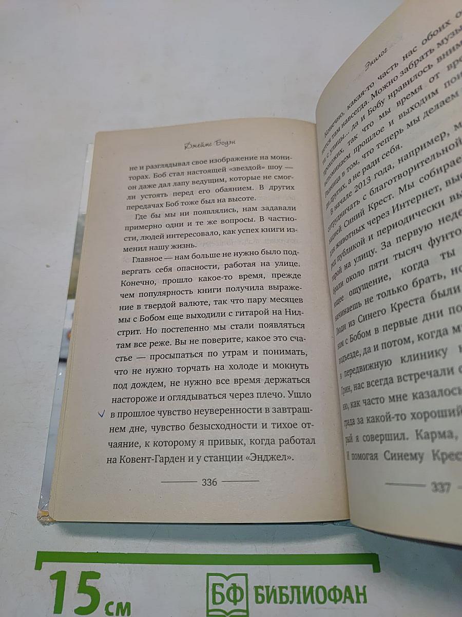 Мир глазами кота Боба. Новые приключения человека и его рыжего друга
