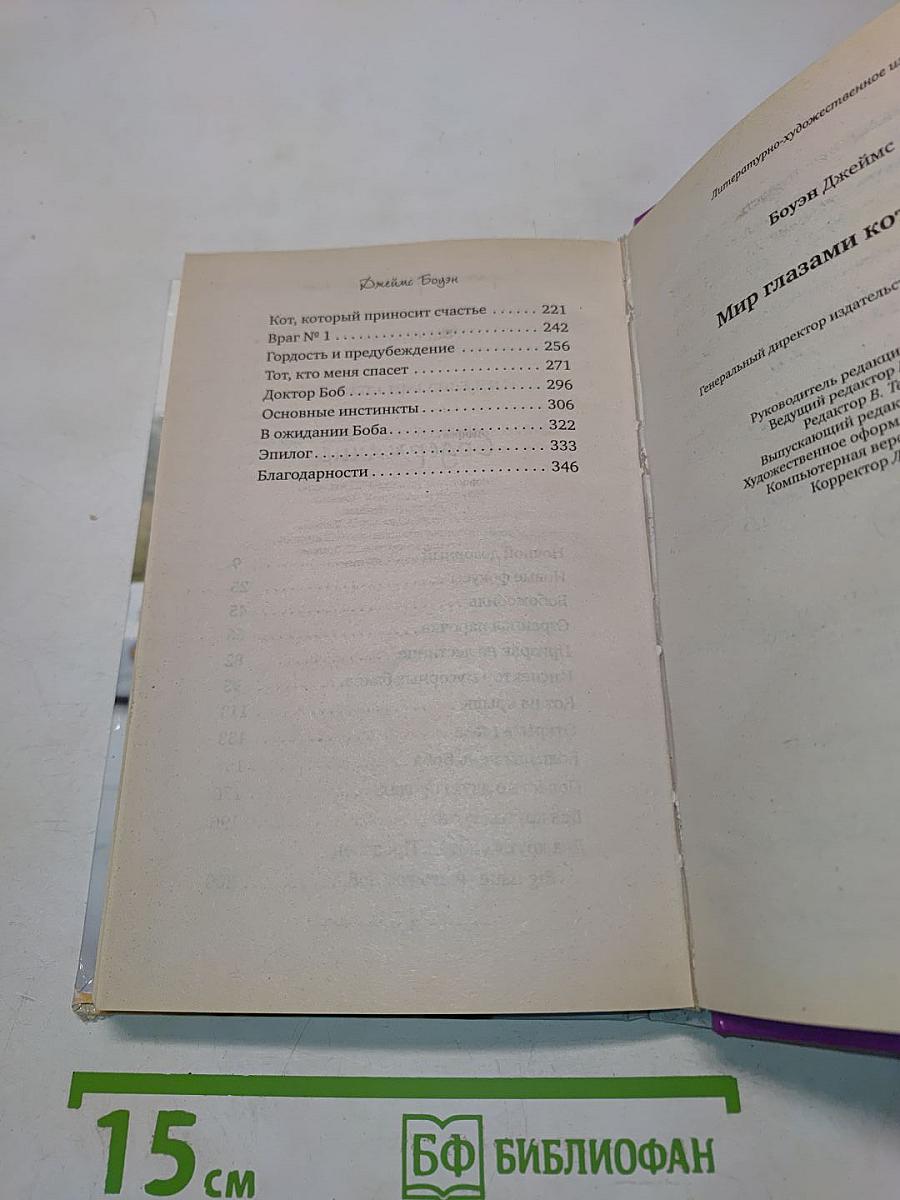 Мир глазами кота Боба. Новые приключения человека и его рыжего друга