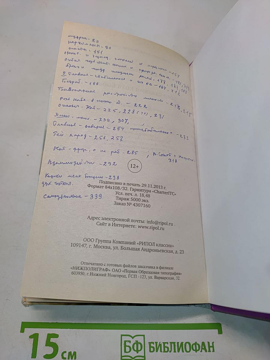 Мир глазами кота Боба. Новые приключения человека и его рыжего друга