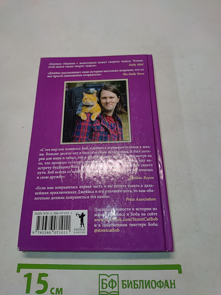 Мир глазами кота Боба. Новые приключения человека и его рыжего друга