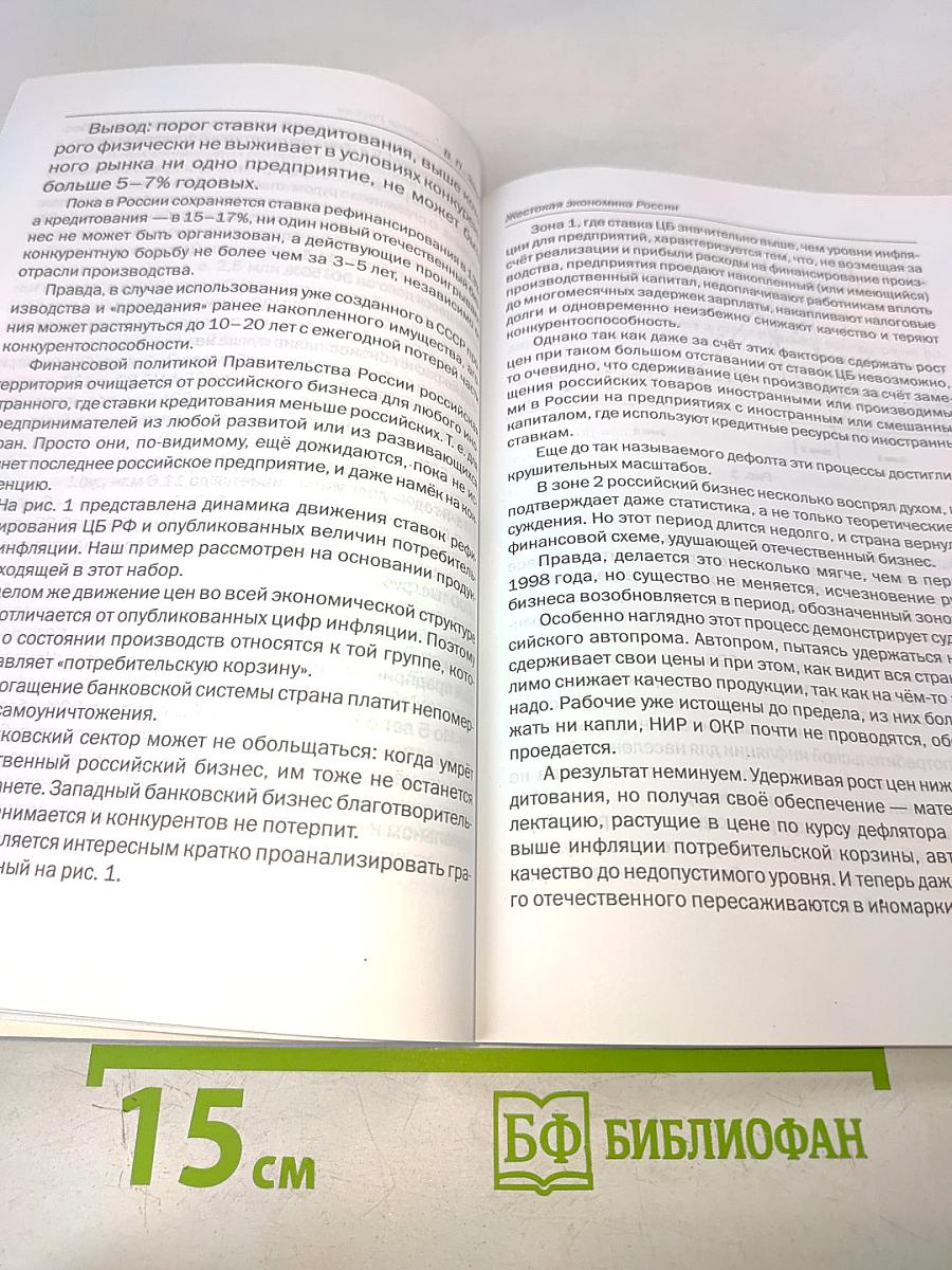 Жестокая экономика России