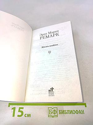 Жизнь взаймы