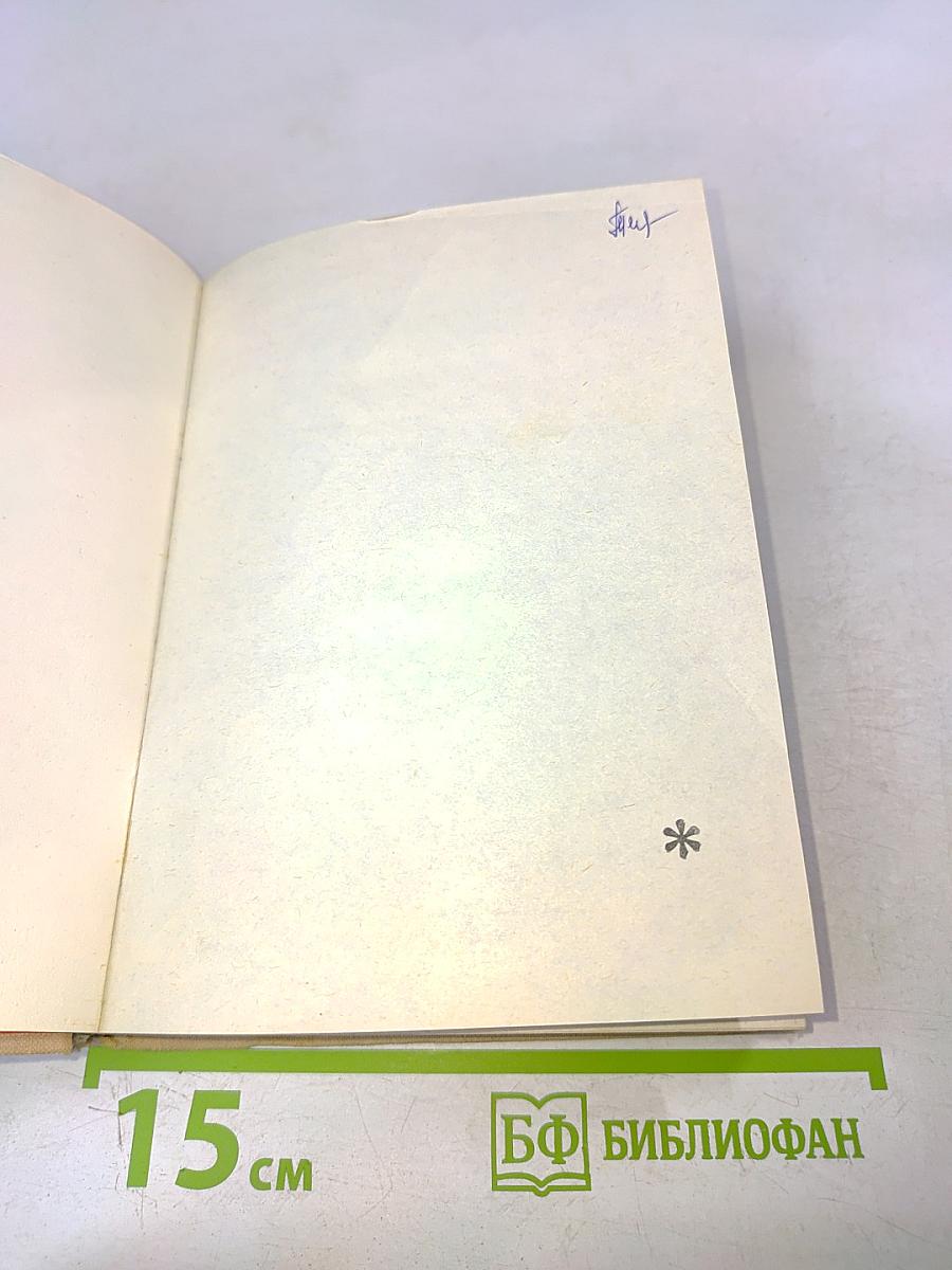 Поэт в России — больше, чем поэт