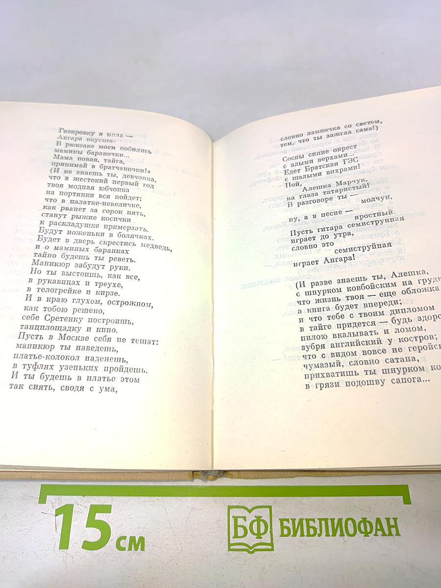 Поэт в России — больше, чем поэт
