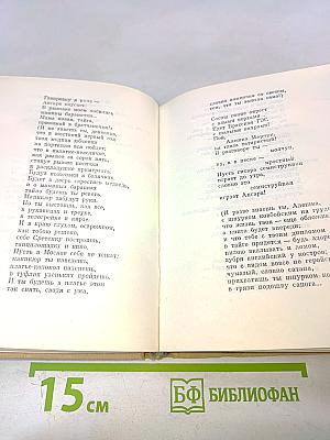 Поэт в России — больше, чем поэт