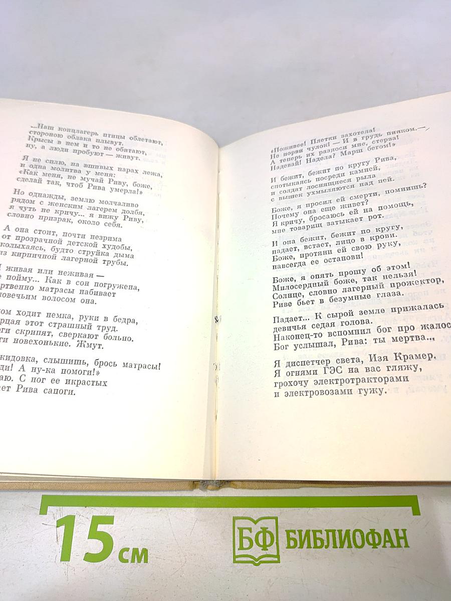 Поэт в России — больше, чем поэт