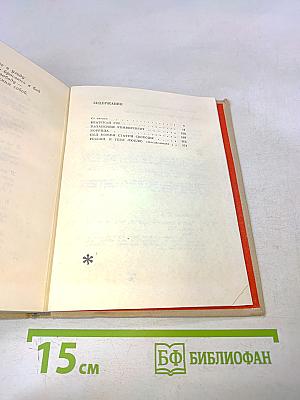 Поэт в России — больше, чем поэт