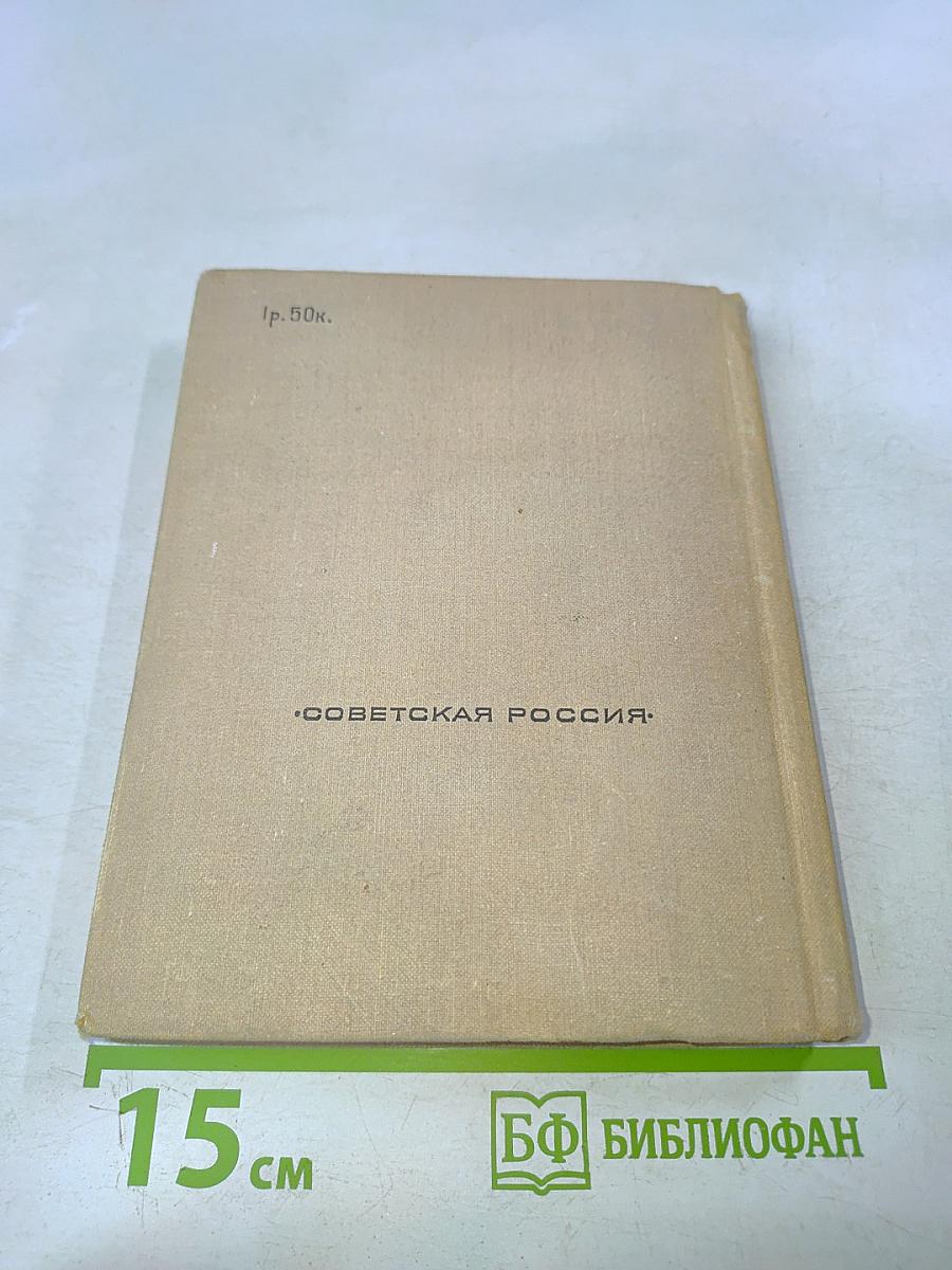Поэт в России — больше, чем поэт
