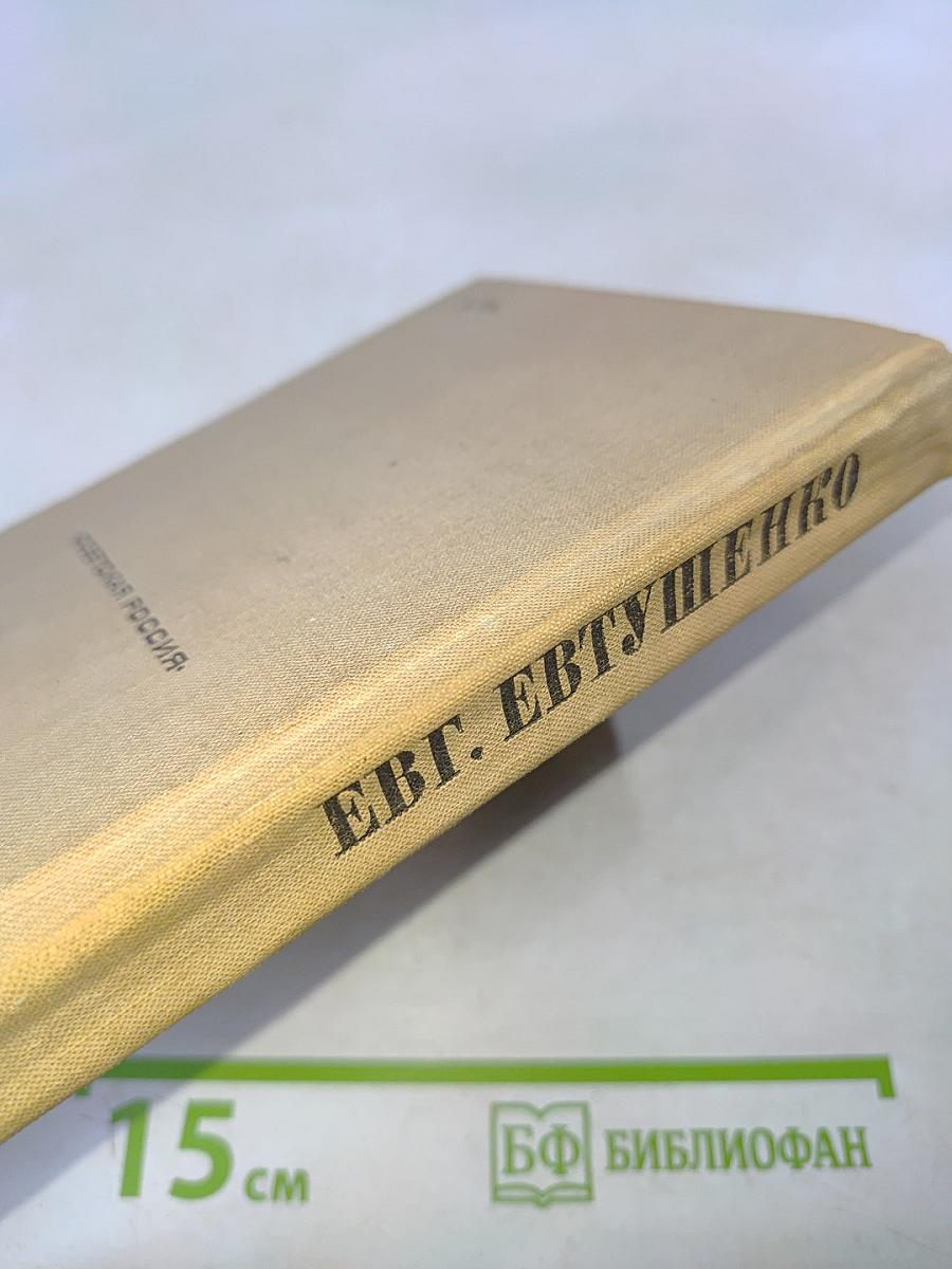 Поэт в России — больше, чем поэт