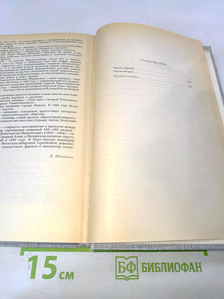 Порт-Артур. Роман в двух книгах. Книга первая