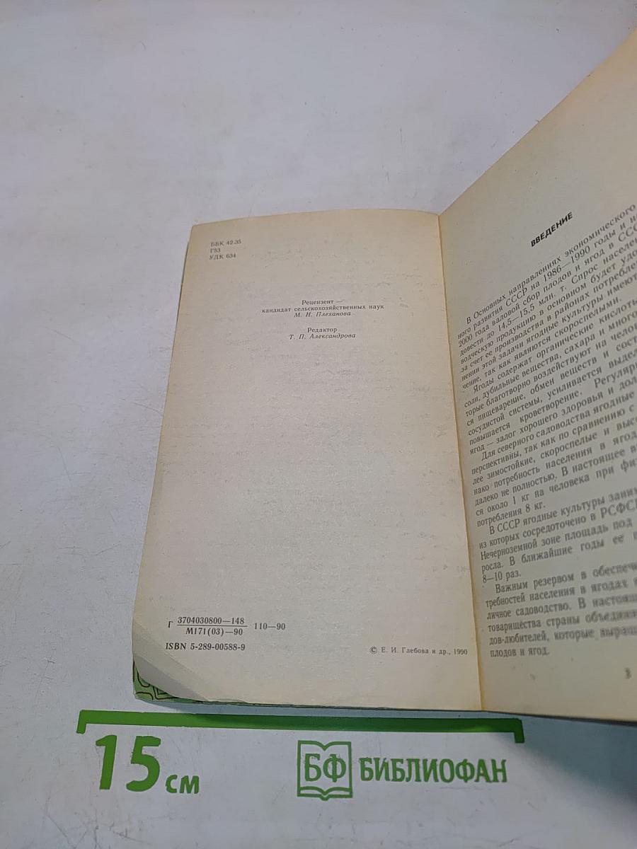 Ягодный сад