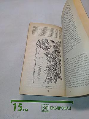 Ягодный сад