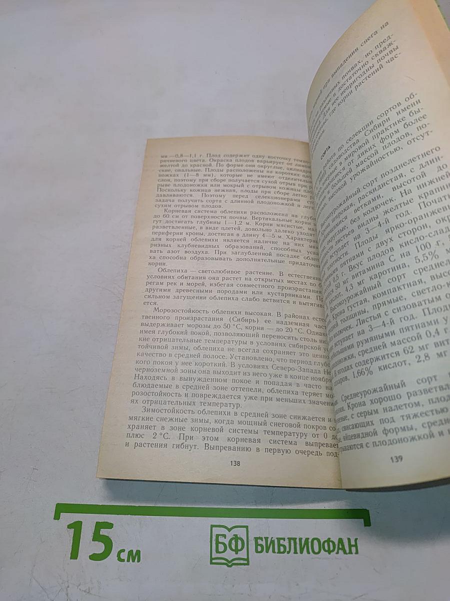 Ягодный сад