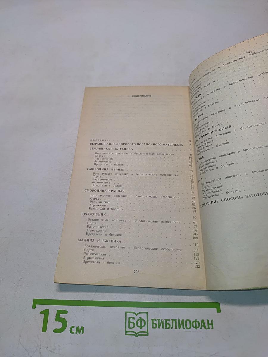 Ягодный сад