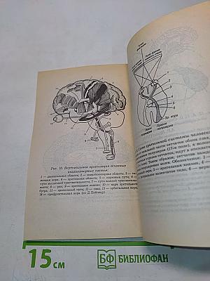 Карма. Изменение будущего