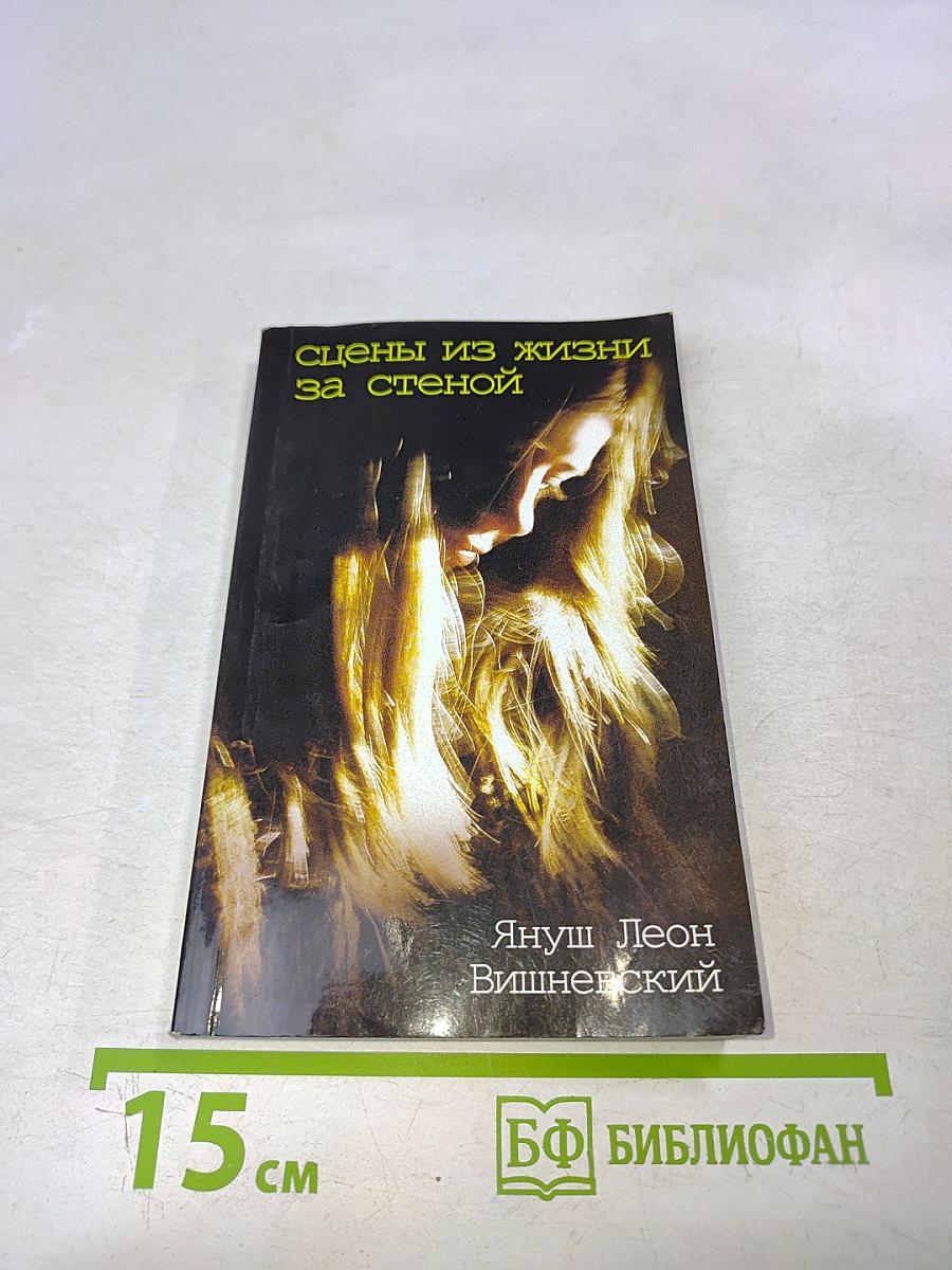 Сцены из жизни за стеной