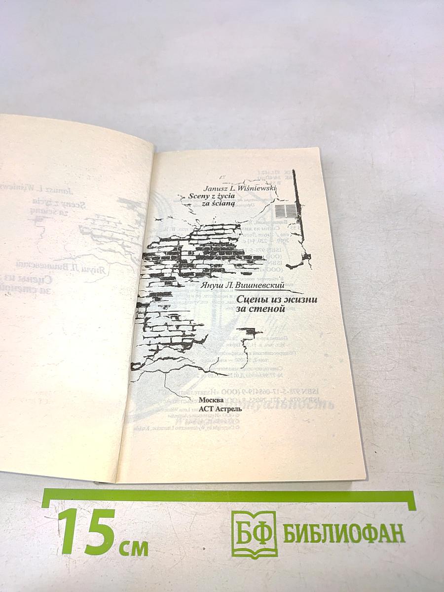 Сцены из жизни за стеной