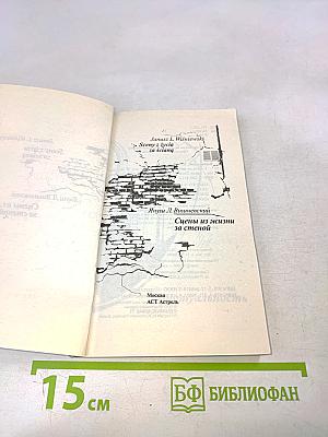 Сцены из жизни за стеной