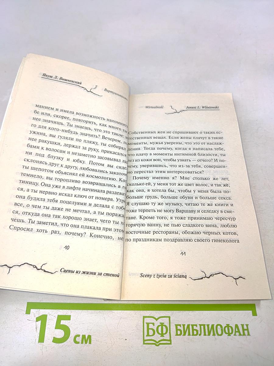 Сцены из жизни за стеной