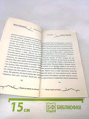 Сцены из жизни за стеной