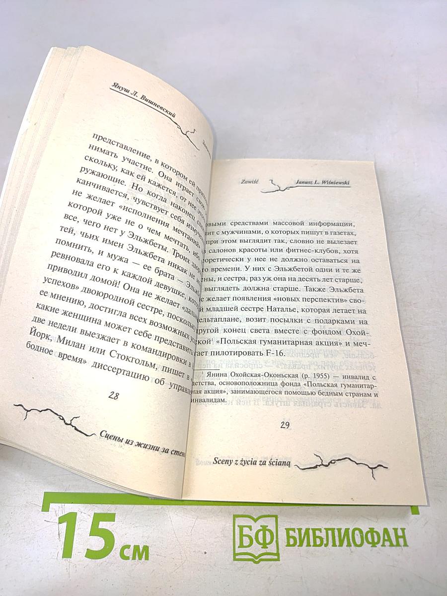 Сцены из жизни за стеной