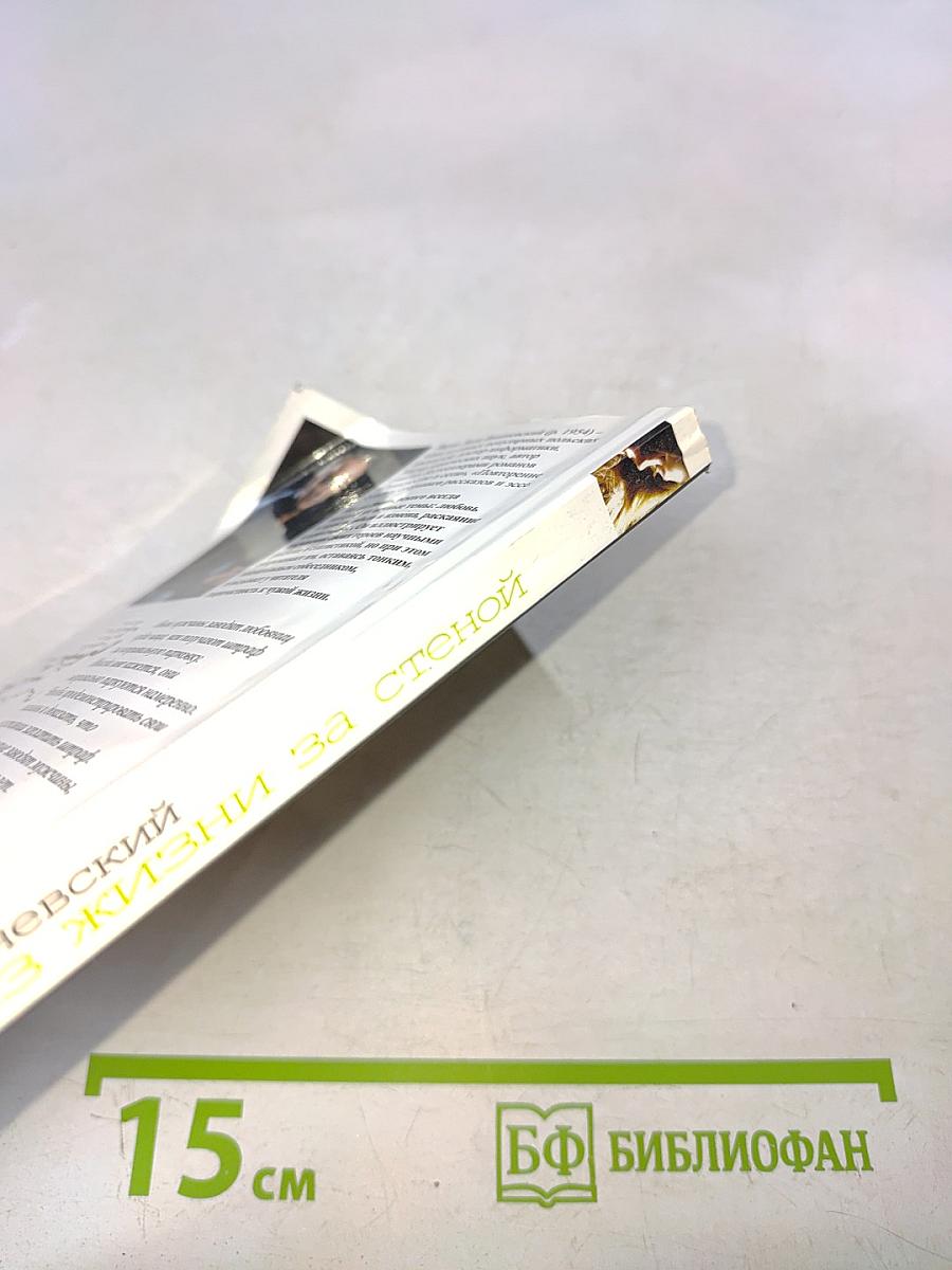 Сцены из жизни за стеной