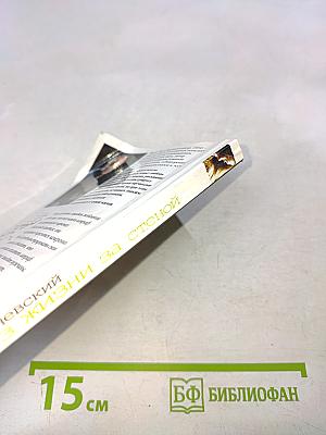 Сцены из жизни за стеной