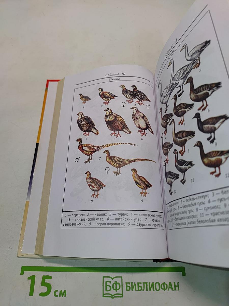 Охота. Универсальный справочник