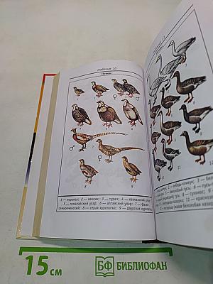 Охота. Универсальный справочник