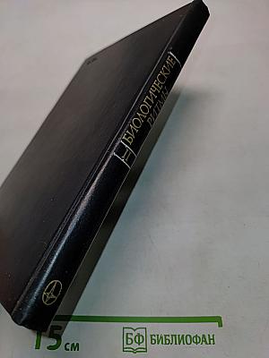 Биологические ритмы. Том II