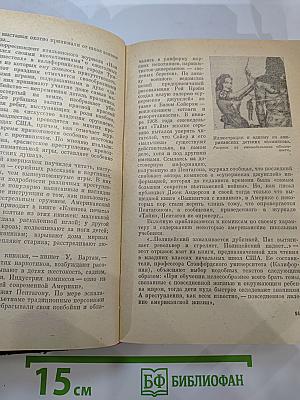 Ястребы и саламандры (Об ультраправой опасности в США)