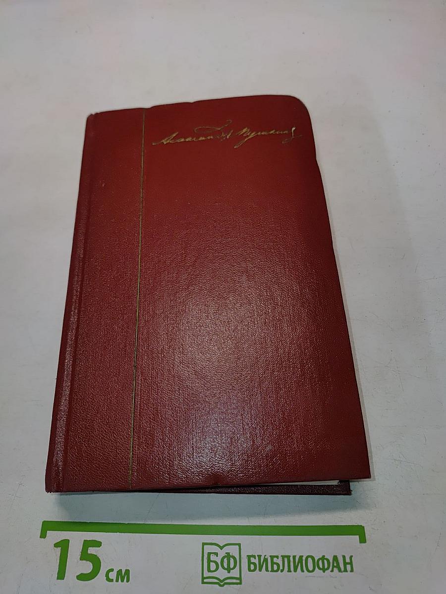 Собрание сочинений. Том пятый. Романы и повести