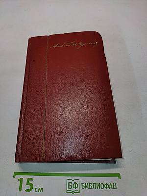 Собрание сочинений. Том пятый. Романы и повести