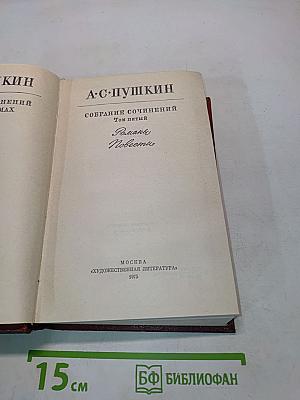 Собрание сочинений. Том пятый. Романы и повести