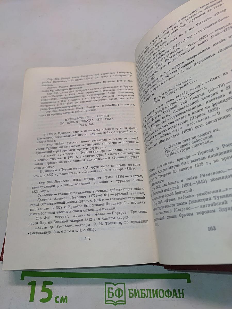 Собрание сочинений. Том пятый. Романы и повести