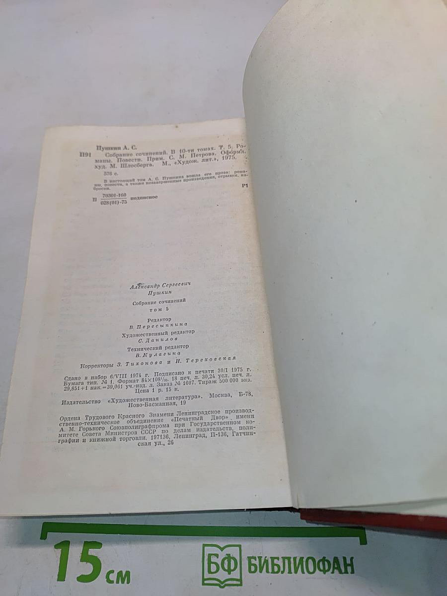 Собрание сочинений. Том пятый. Романы и повести