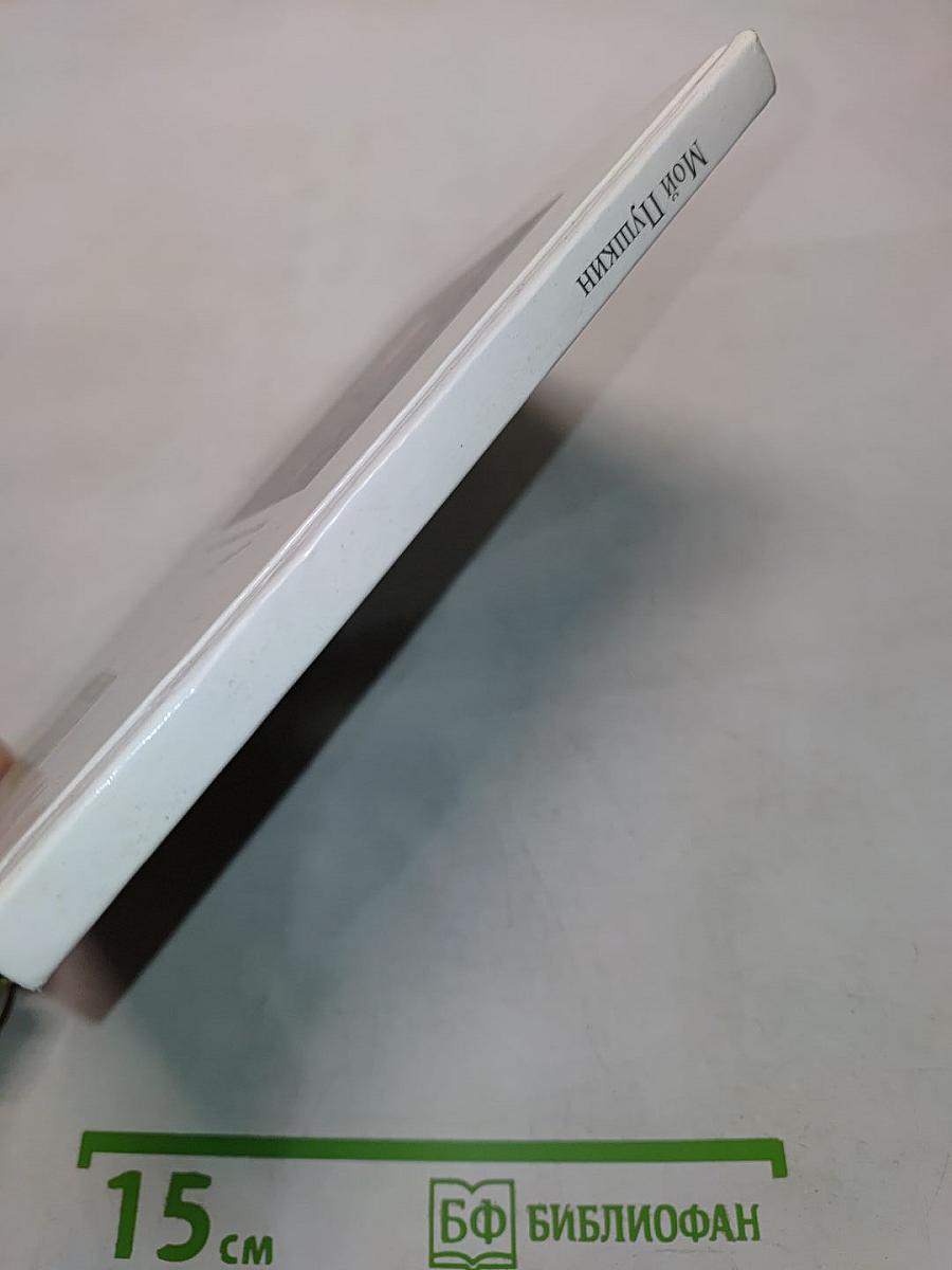 Мой Пушкин. Энциклопедия русской жизни