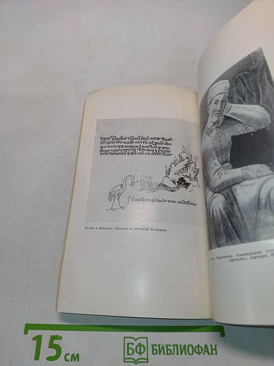 Франческо Петрарка. Поэзия гуманизма